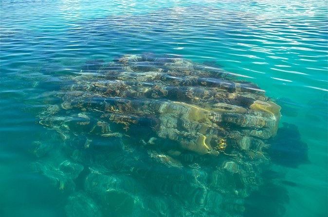 A coral head below clear green water, seen from the surface